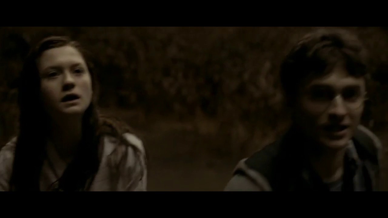 Harry and Ginny | Halo