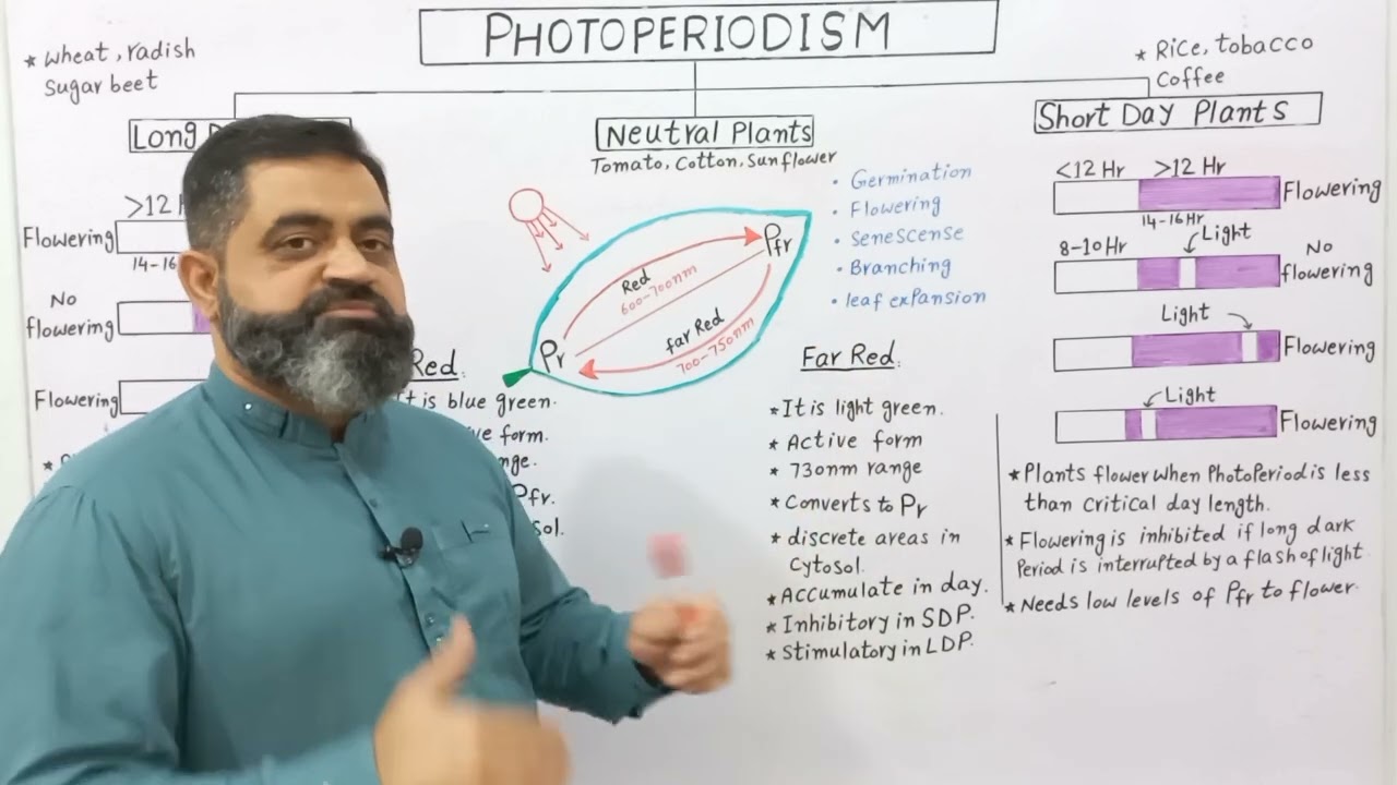Photoperiodism Urdu/Hindi Medium @Prof. Masood Fuzail| Long day Plants | Short day Plants