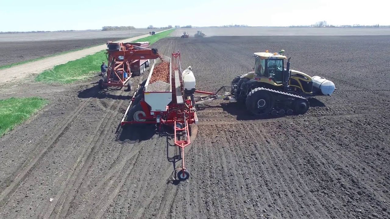 Clamp Planter - Harriston Industries