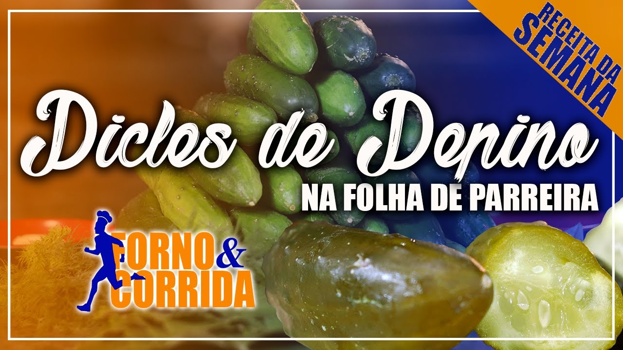 Picles de Pepino na Folha de Parreira - Pepino Azedo Probiótico