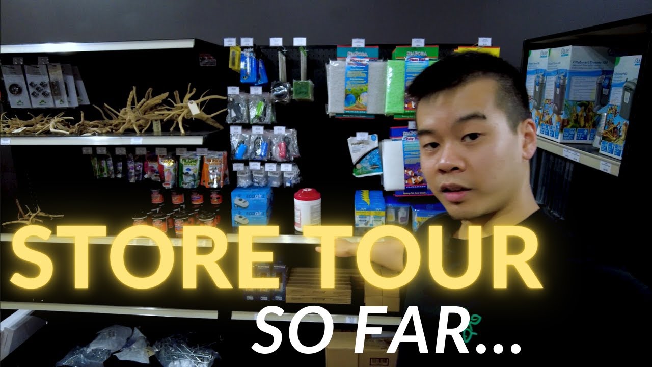 Just a little update | Mini Tour