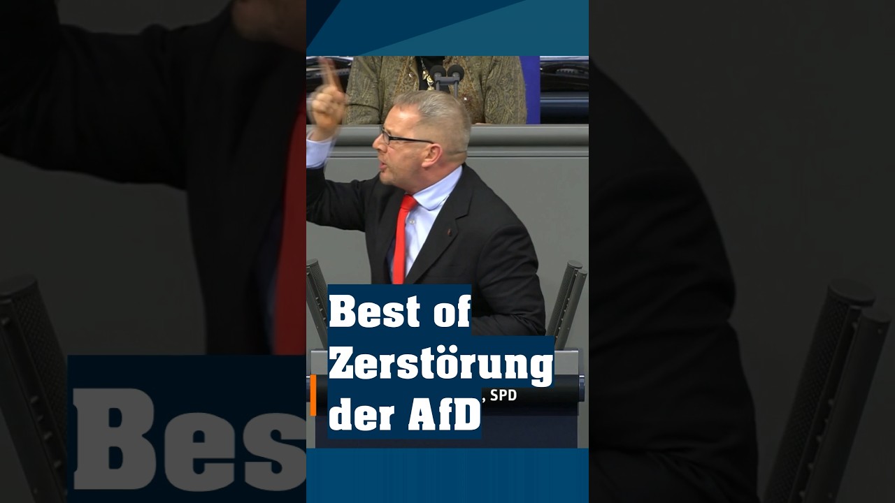 Best of ZERST&Ouml;RUNG der AfD #noafd