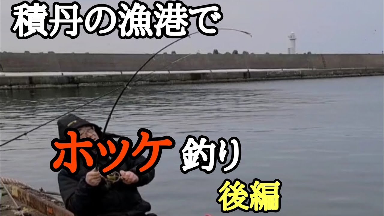 積丹の漁港でホッケ釣り後編