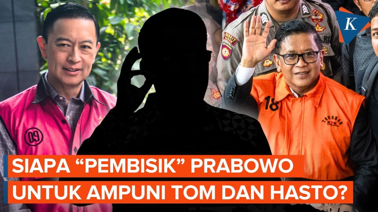 Ini Dia sosok Pengusul Abolisi-Amnesti untuk Tom Lembong dan Hasto