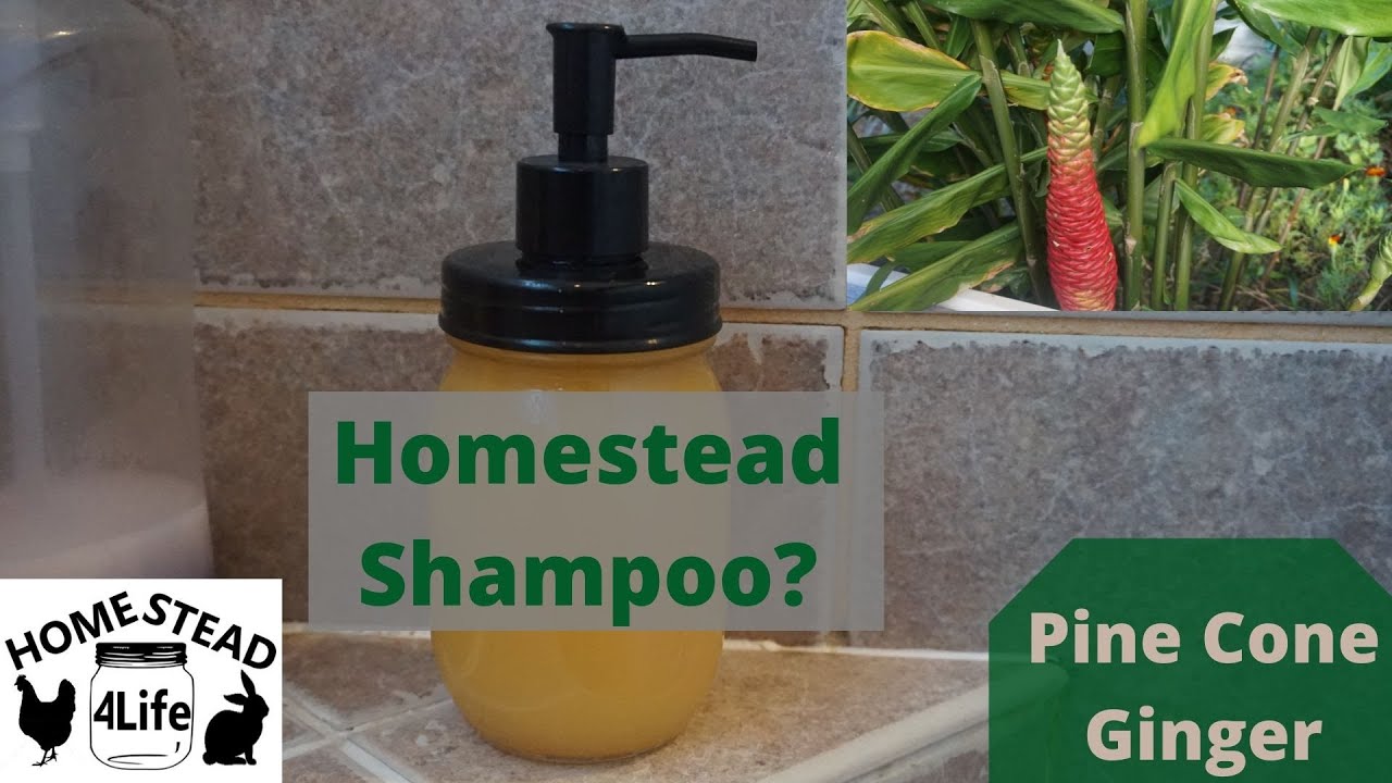 Shampoo (Pine Cone) Ginger