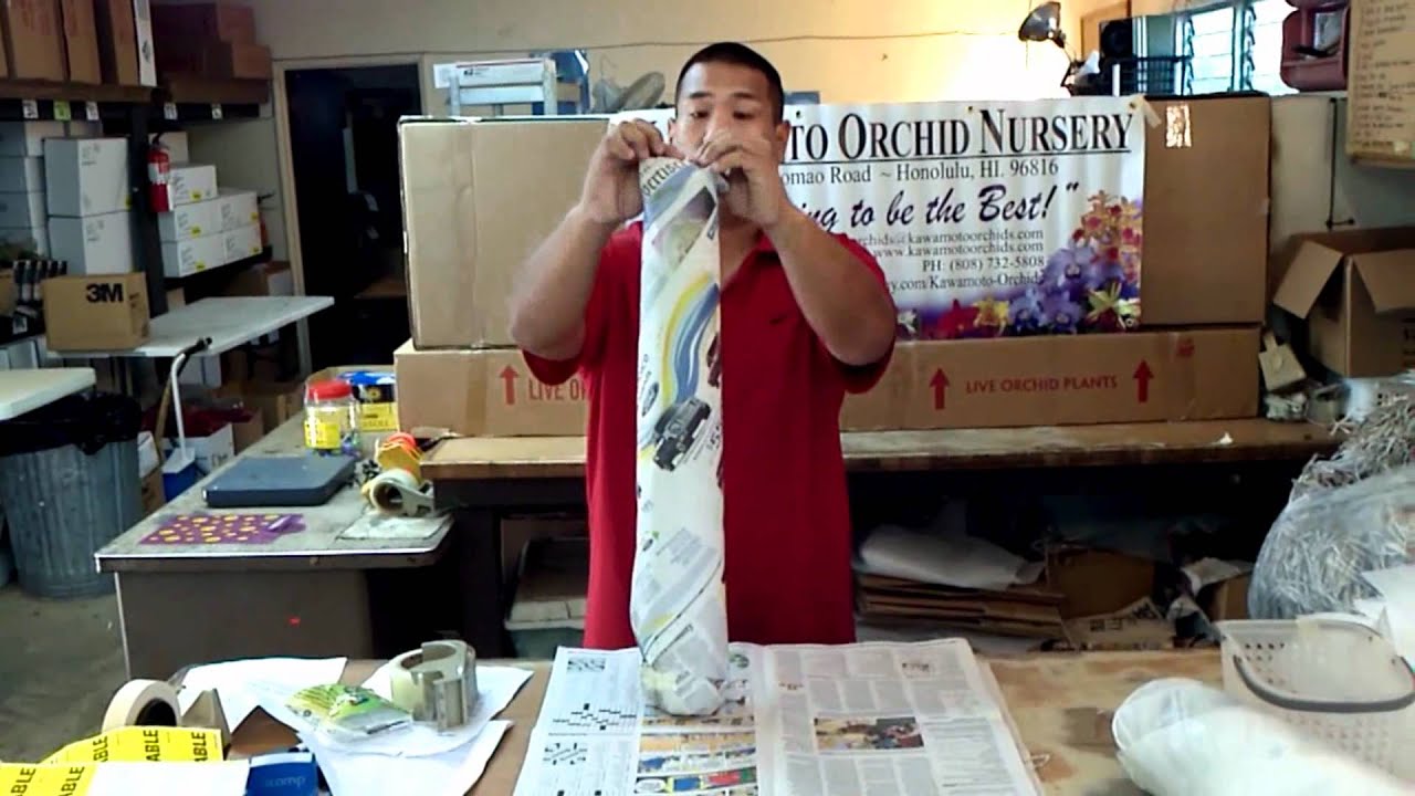 Packing Orchids for cold weather shipping.