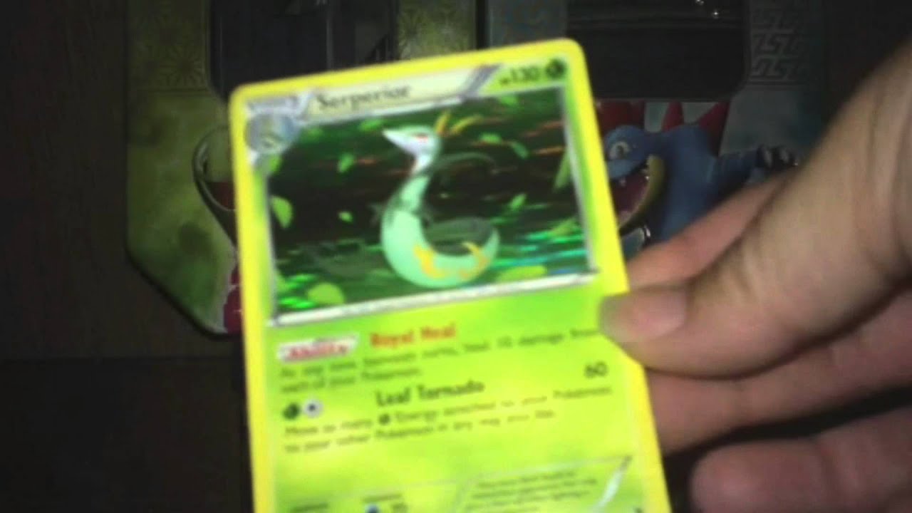 TCBM - RenaeCollects