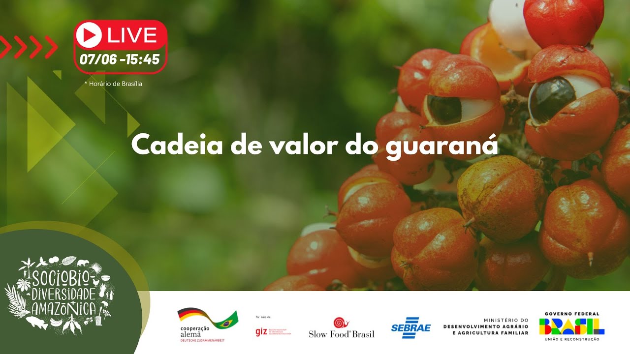 Cadeia de valor do guaraná