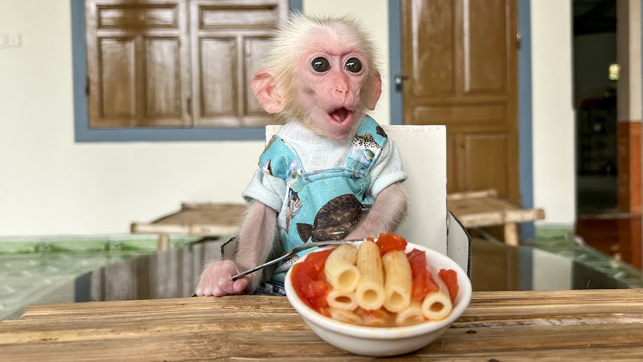 Бедная обезьянка послушно готовит вместе с Хонгом простую пасту, но с любовью!