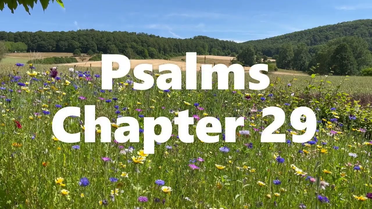 The Book of Psalms Chapter 29 - Contemporary English Version (CEV) - Audio Bible