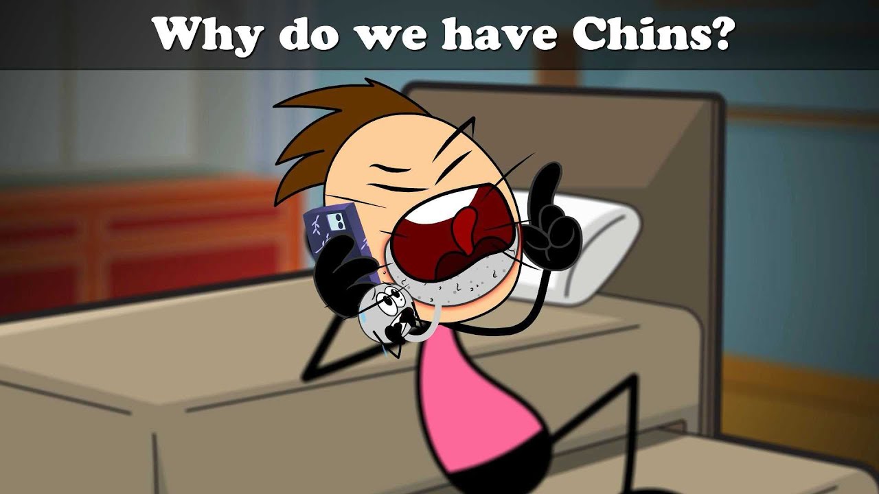 Why do we have Chins? + more videos | #aumsum #kids #cartoon #science