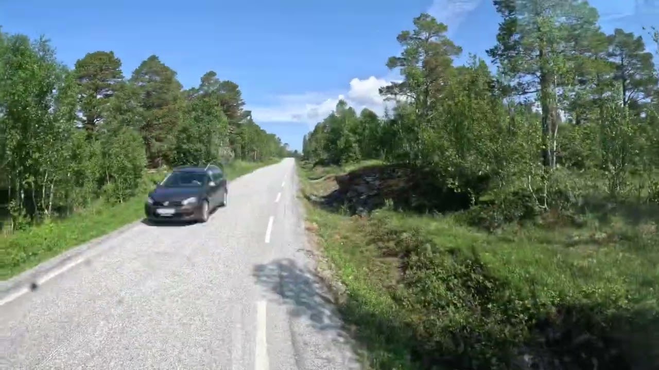 Sommer i Varntresk