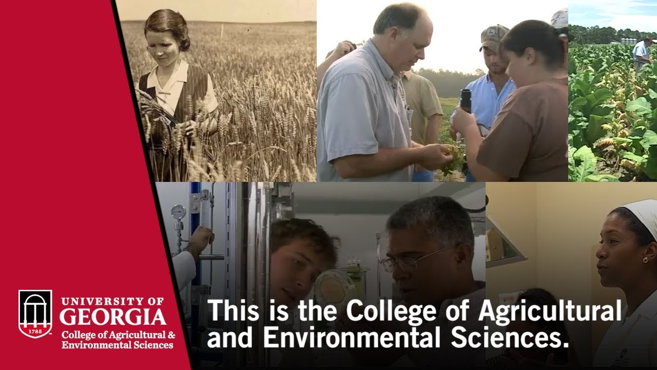 This is the UGA College of Agricultural and Environmental Sciences.