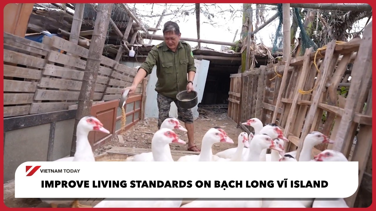 Повышение уровня жизни на острове Бах Лонг Ви | Vietnam Today