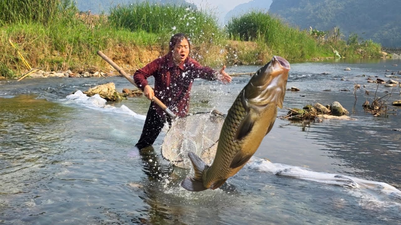 FULL VIDEO 30 days of farm construction, garden renovation and catching fish for sale.