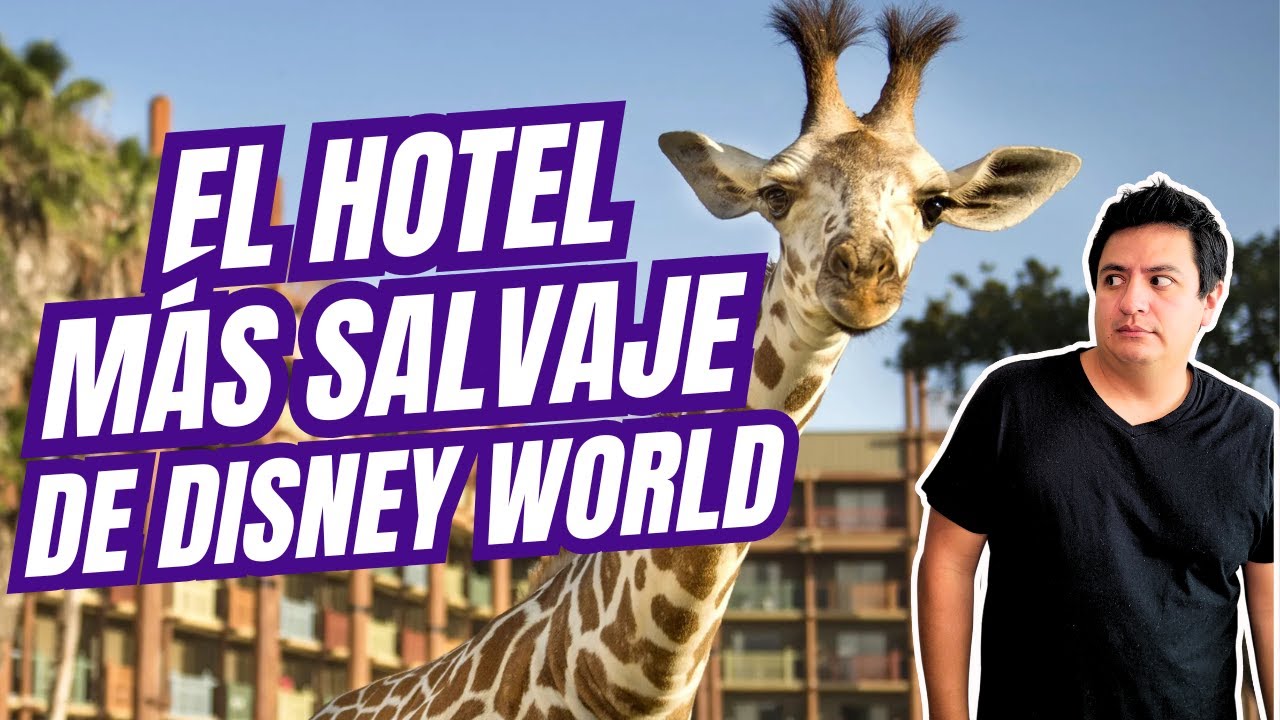Tour completo por Animal Kingdom Lodge: el hotel MÁS único en Disney World | Vive Disney Travel Co.