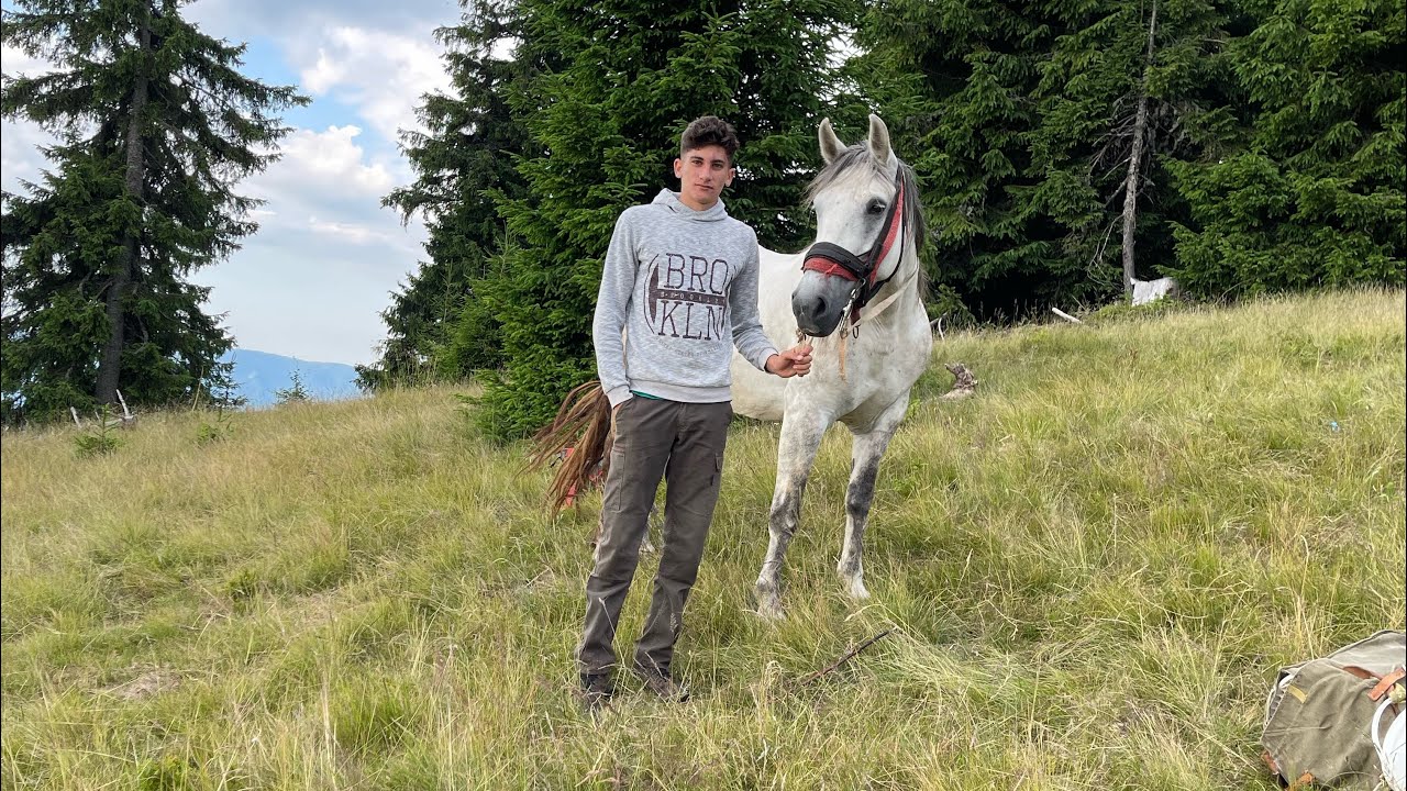 Am mers la afine 🫐 🐎(