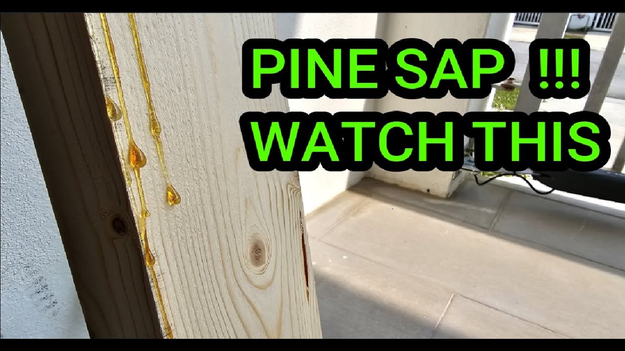 How to stop SAP from coming out of wood.