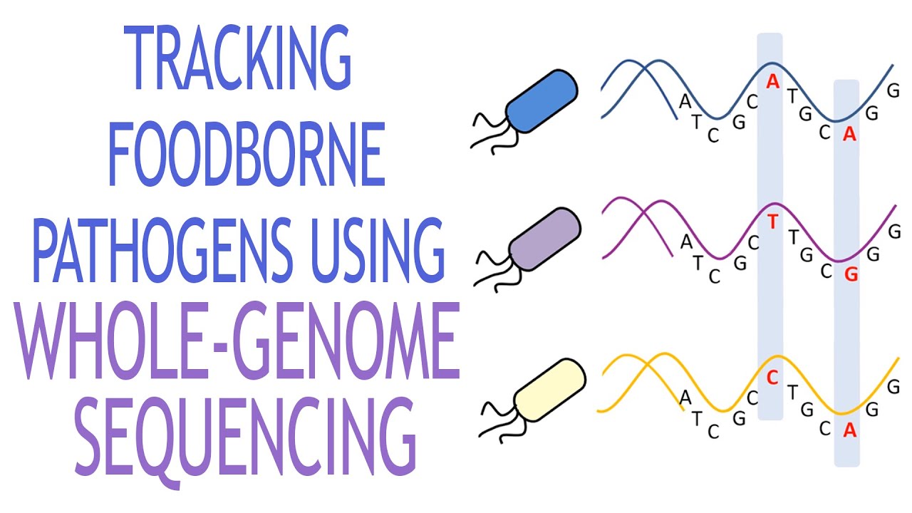 Tracking Foodborne Pathogens Using Whole Genome Sequencing