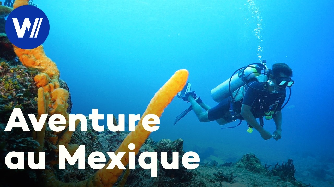 Exp&eacute;dition Mexique : les tr&eacute;sors cach&eacute;s de la jungle maya | La Grande &Eacute;vasion