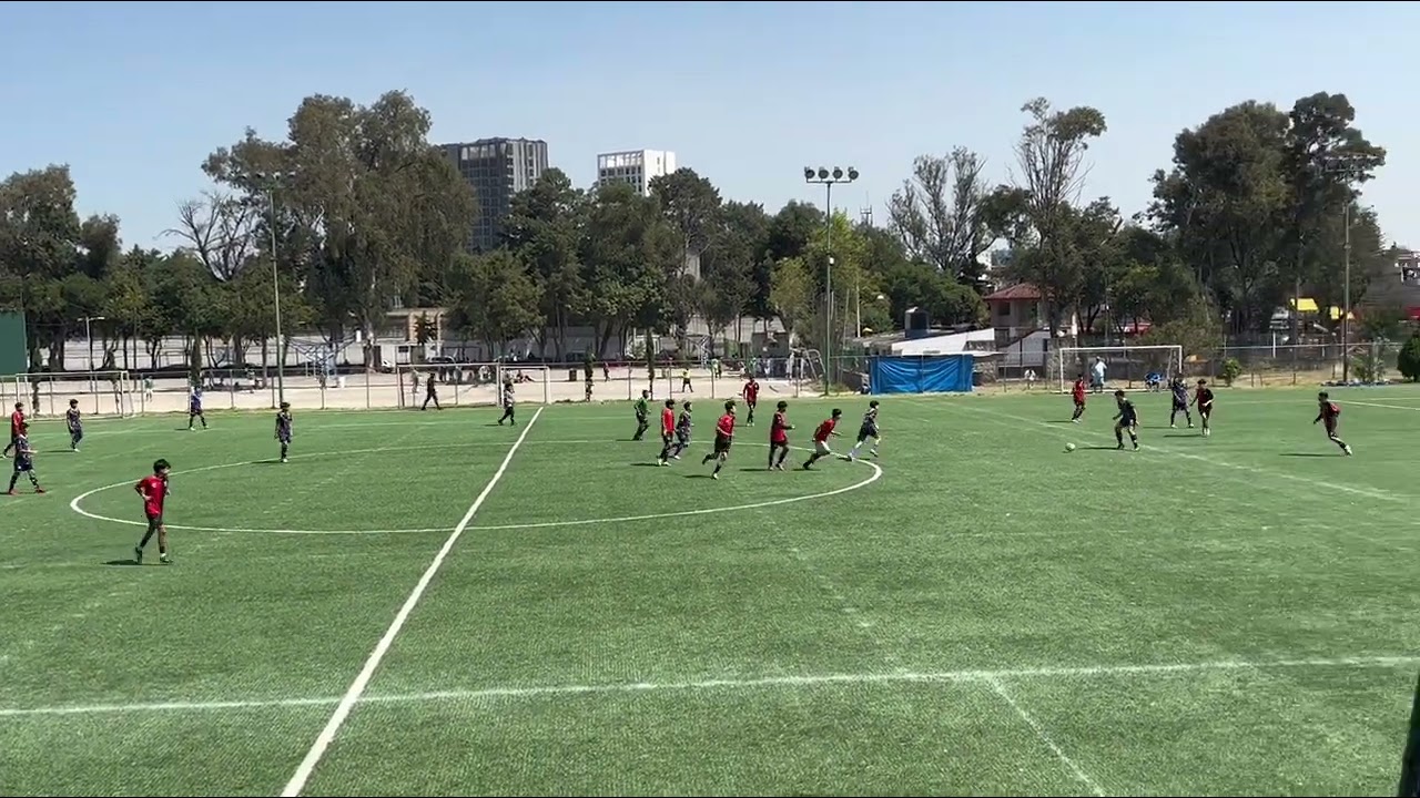 Highlights Gui De Brito