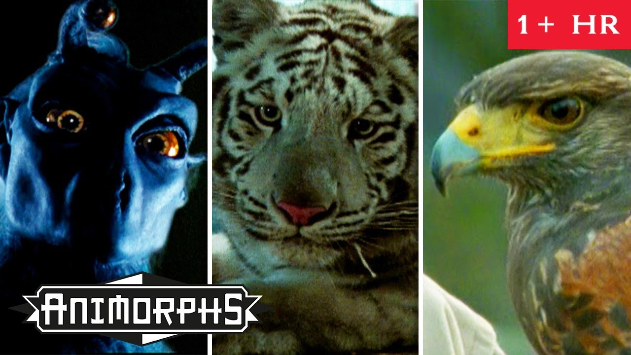 Episode 1-3 | My Name Is Jake Pt. 1&2 | Underground | Full Episode | Animorphs | Scholastic Classic