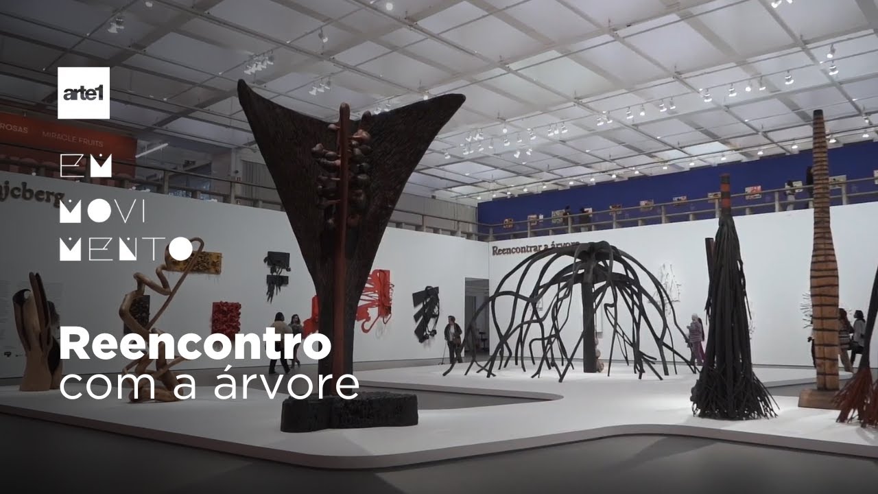 A arte ambiental de Krajcberg