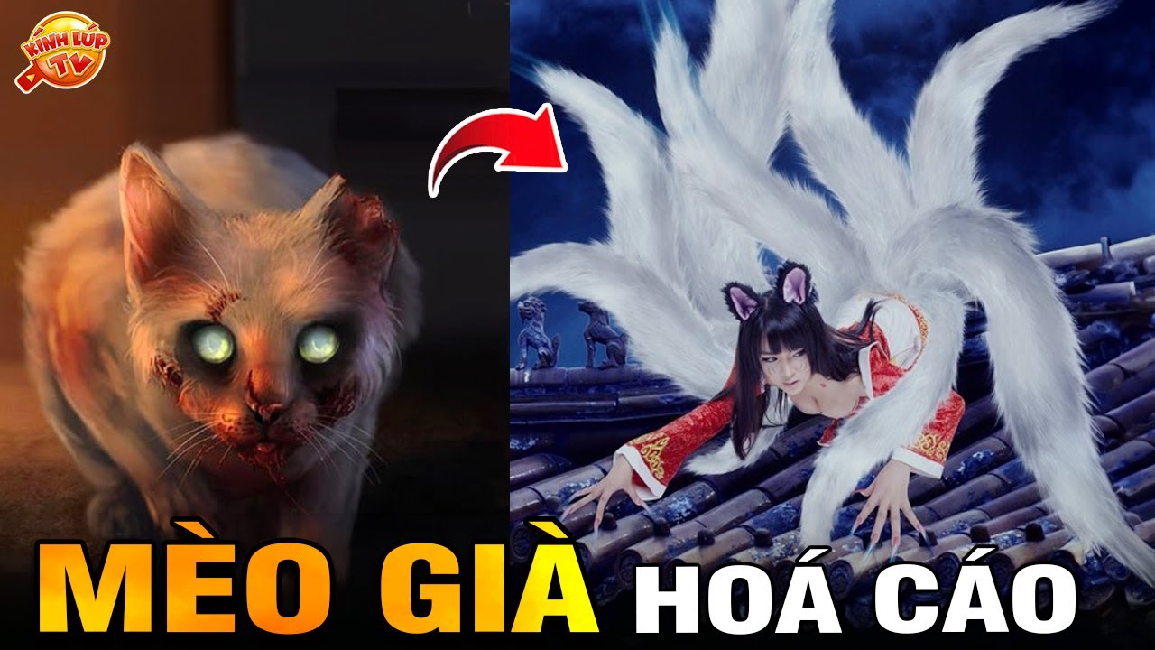 🔥 Vì Sao Nói 