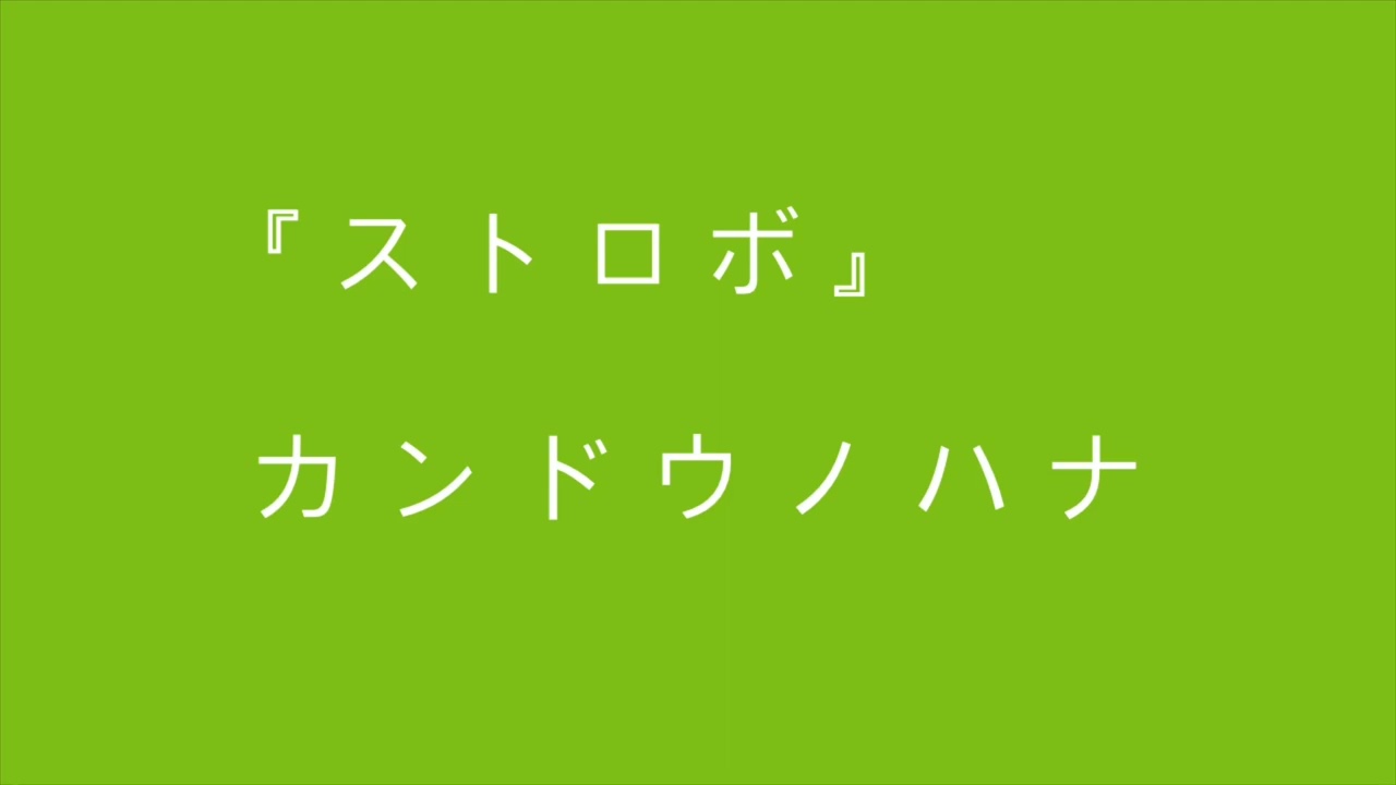 カンドウノハナ『ストロボ』