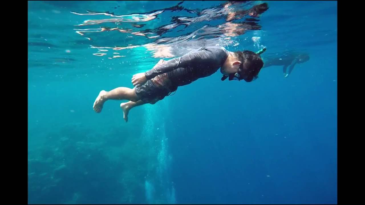 no-fins freediving