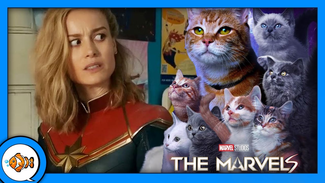 'The Marvels' is for Cat Ladies and Wine Aunts.