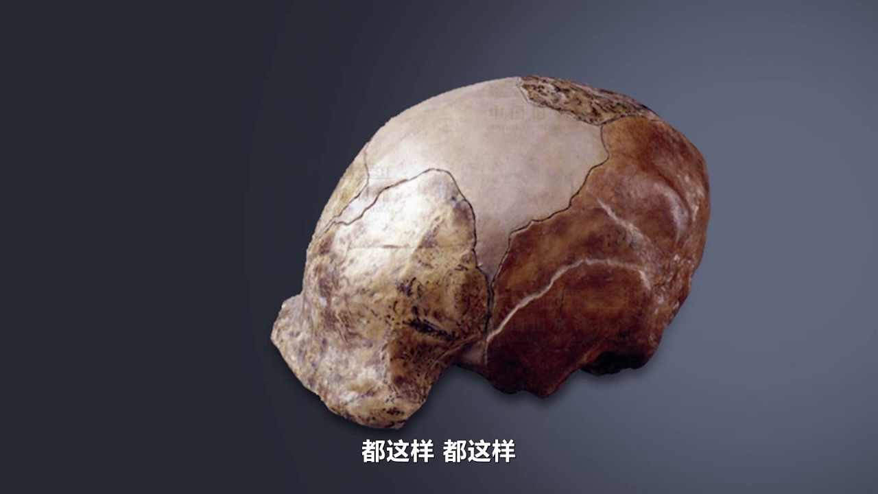 【一席】袁碩：進擊的智人