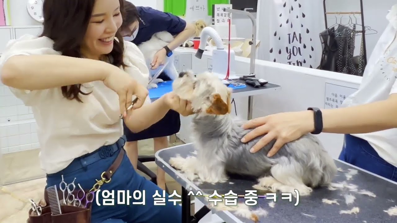 유기견 입양가족들 모임에 함께했어요🍀(유행사 동창회🎊)