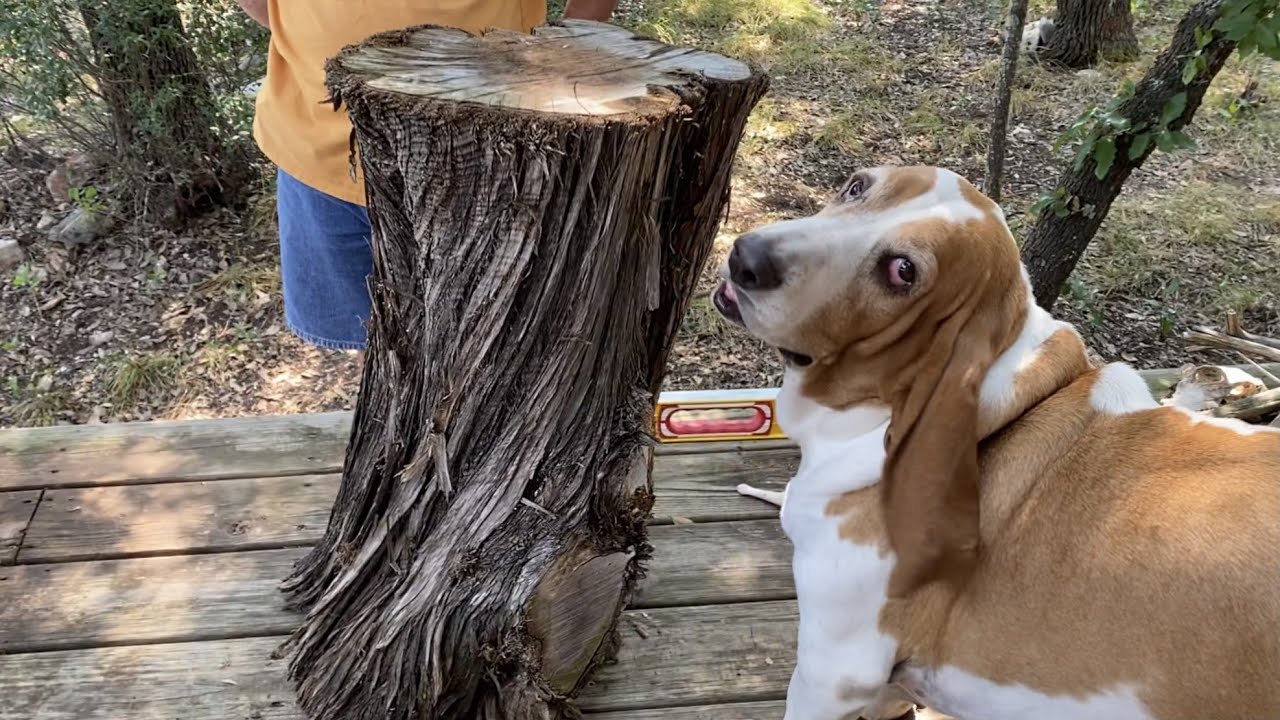 Making a Mosaic Tree Stump Table