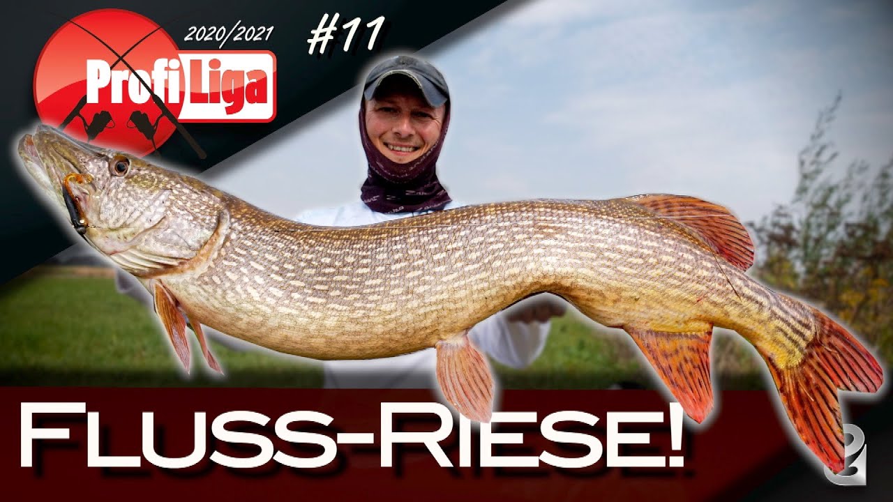 Kapitale Überraschung! Profi Liga S6F11