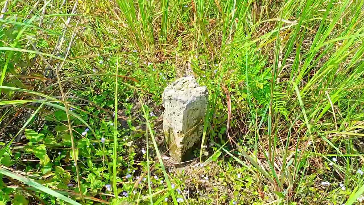 VALORISEZ VOTRE TERRAIN/MENKAO/PEAGE/MALUKU
