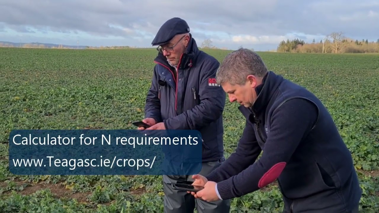 OSR canopy management with John Sprink Teagasc and Tim O'Donovan, Seedtech