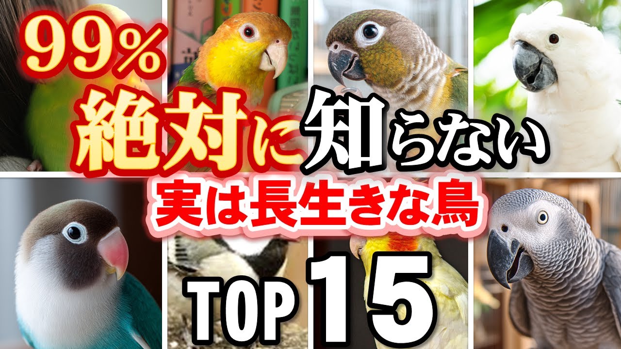 【ギネス記録がスゴイ】意外と知らない長生きな鳥１５選