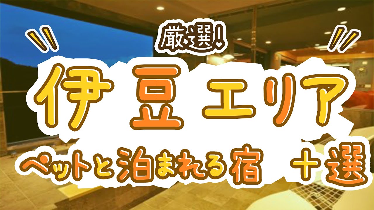 厳選！伊豆のペットと泊まれる宿おすすめ10選！