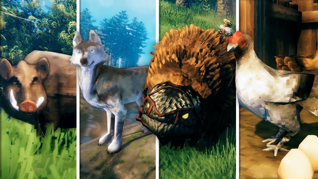 Valheim &mdash; Полное руководство по приручению и разведению! (включая кур)