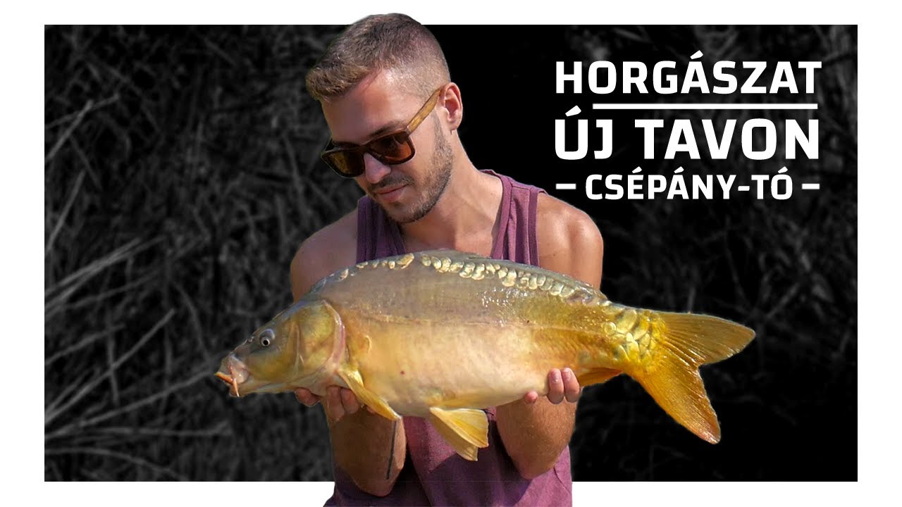 Horg&aacute;szat &Uacute;j Tavon | Cs&eacute;p&aacute;ny-t&oacute; | 2019 | B&V Fishing