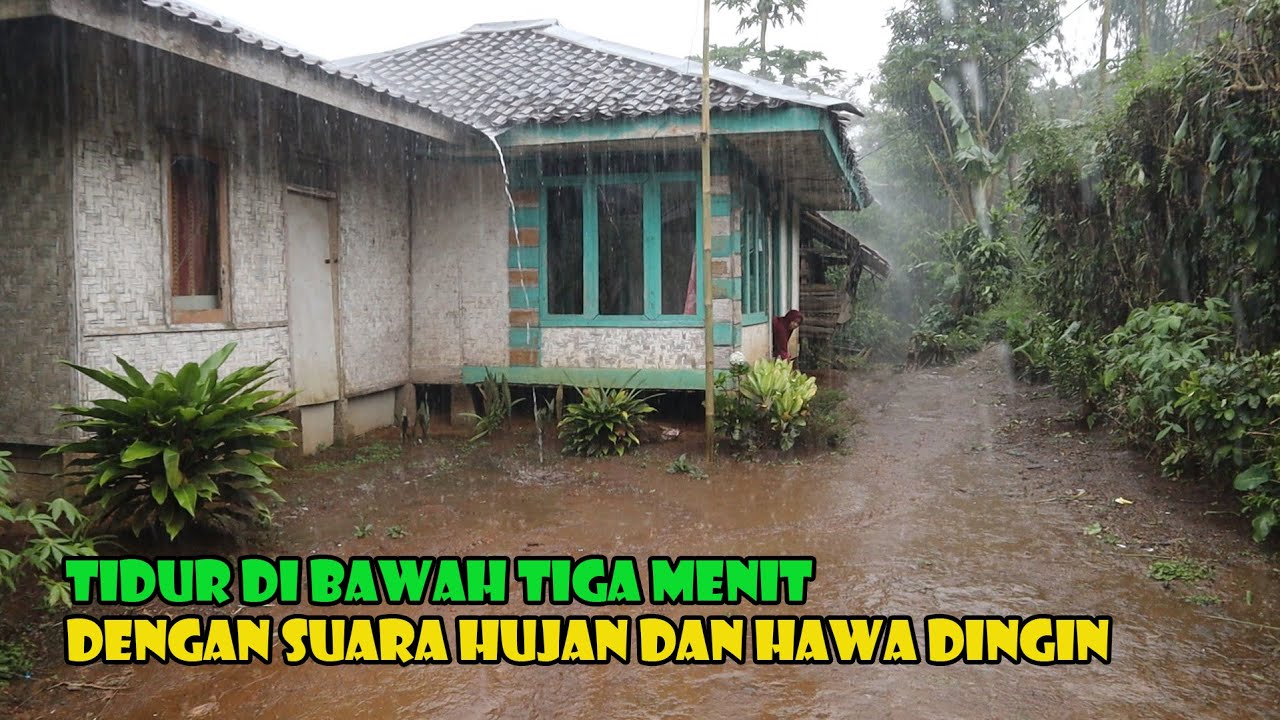 Tidur Pulas Seketika Dengan Suara Hujan Dan Suara Jangkrik Hutan..