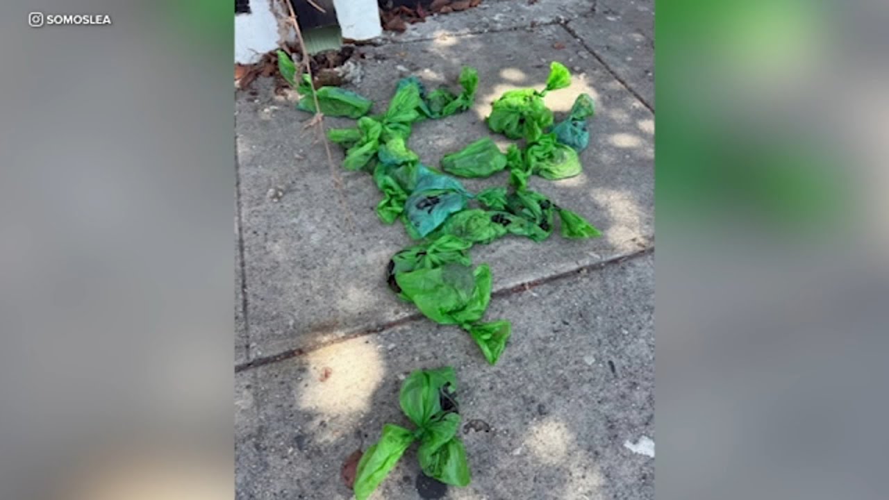 Police investigating dog-poop throwing vandalism case at LGBTQ+ youth center