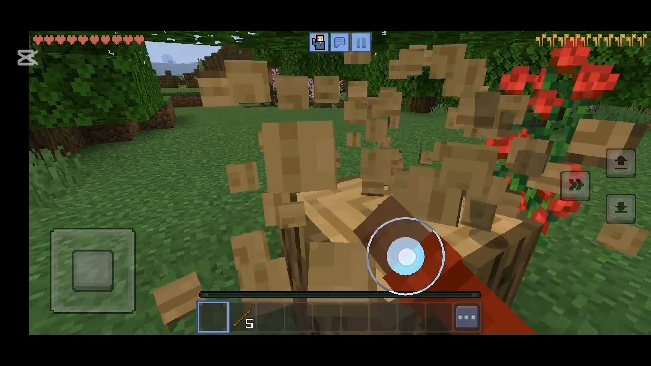 Minecraft