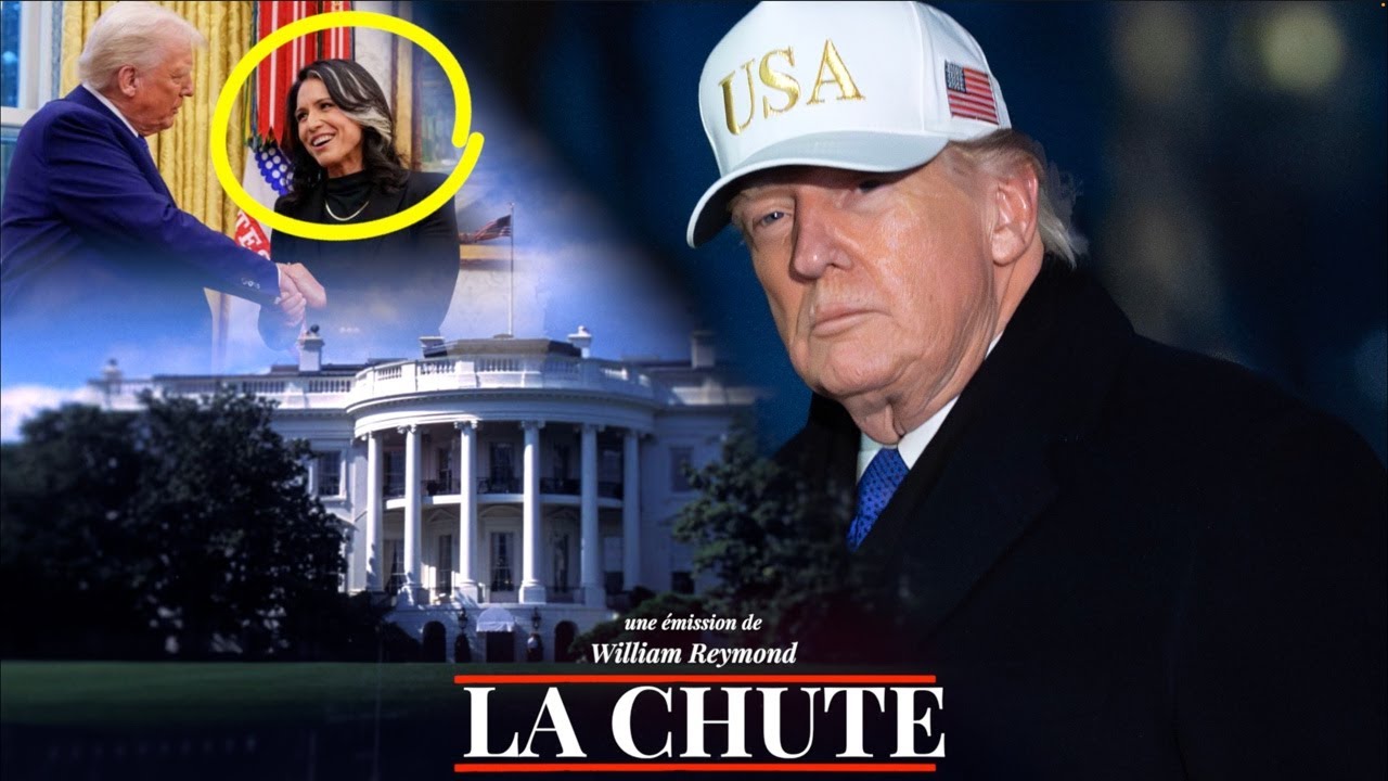 Trump, Gabbard, sondages : Crises à la Maison Blanche | Chute