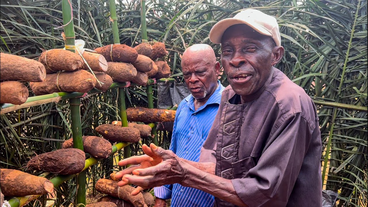 Yam festival in Mbaise Imo State 2023 Part 1 - Imo State vlog Ep6