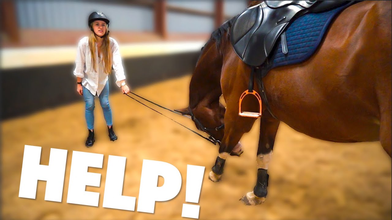 NIET PAARDENMENSEN op de MANEGE | Zaressa