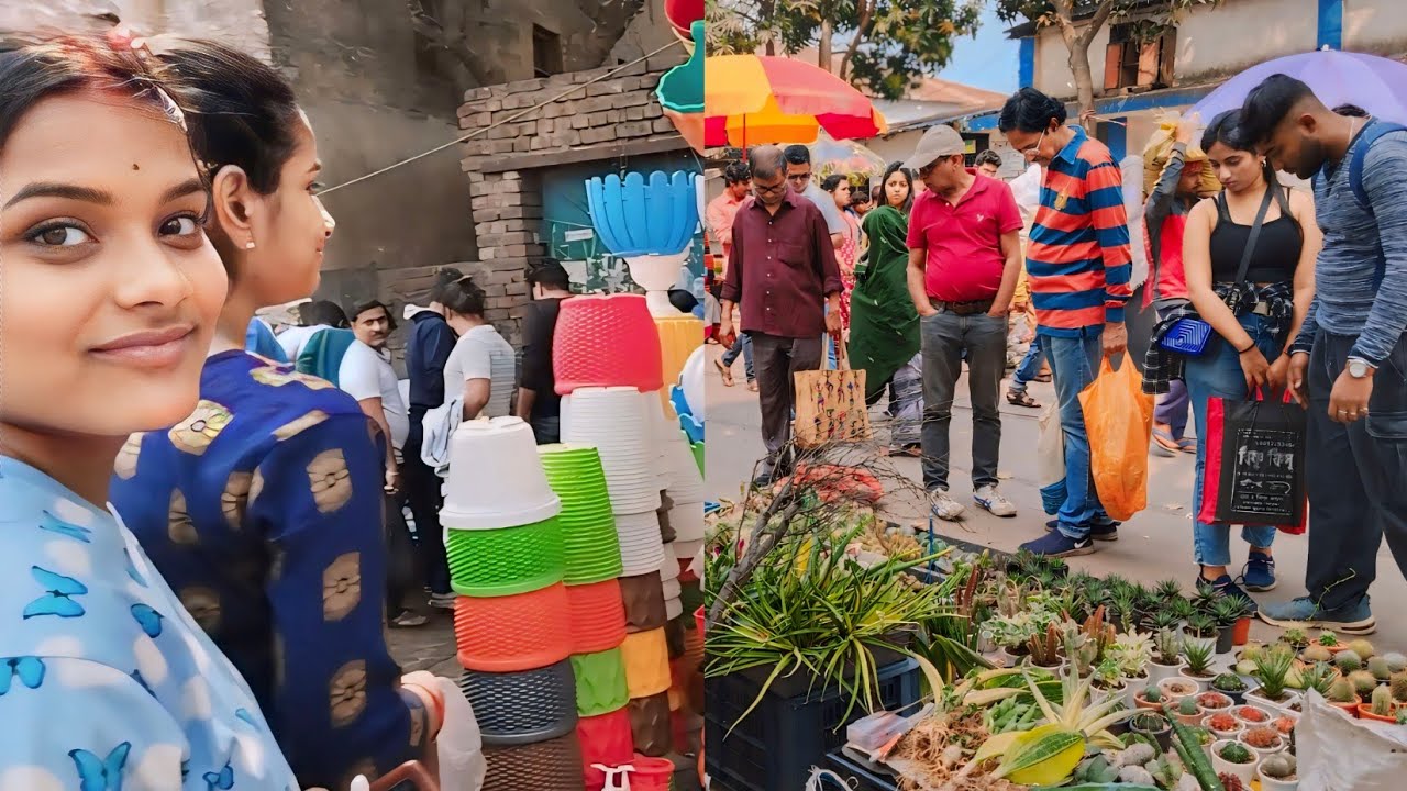 Plastic Pot Price and Cactus Succulent Price at Galiff Street Plant Market on This Sunday 2024