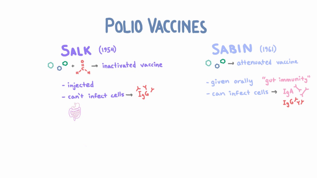 Polio Vaccines - Salk vs Sabin