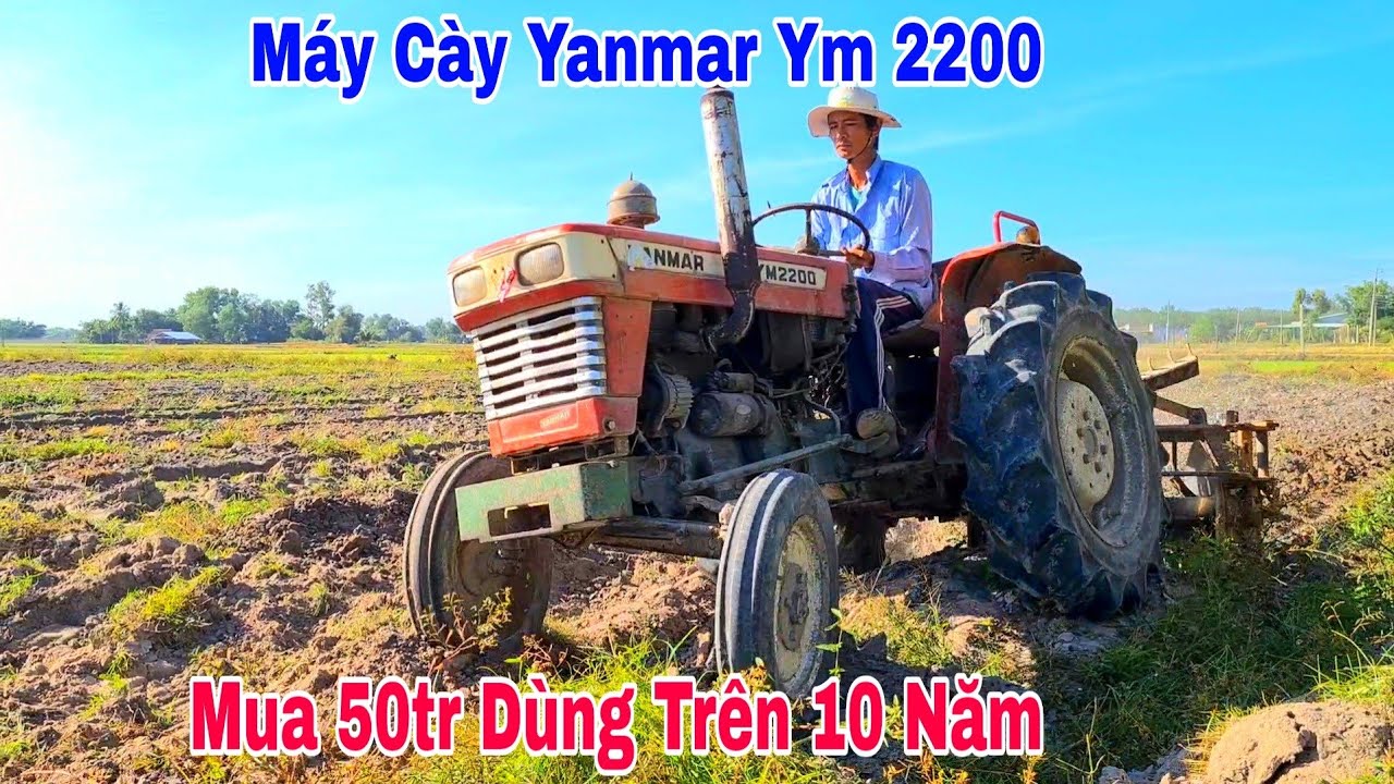 Máy Cày Yanmar Ym 2200 Cày Phá Luống Ớt Chuẩn Bị Trồng Lại Vụ Ớt Mới, Máy Cày Tây Ninh